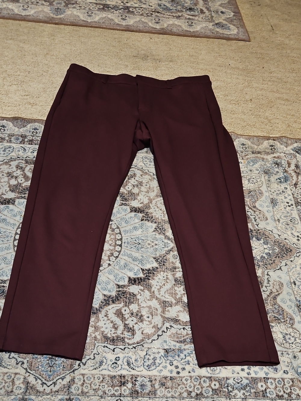 torrid Women's Tailored Trousers in Burgundy